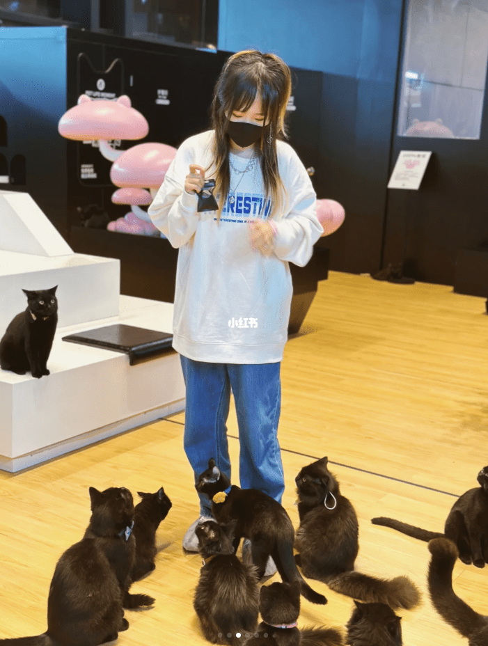 店裡有四十多只各種品種的黑貓跟客人互動。（圖片來源：小紅書）